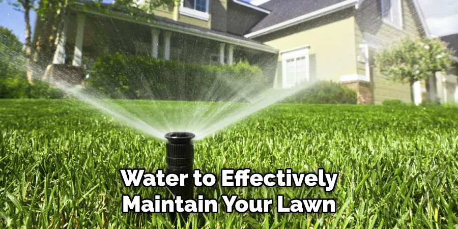 Water to Effectively Maintain Your Lawn