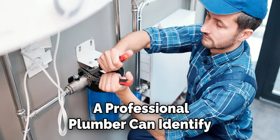 A Professional Plumber Can Identify 