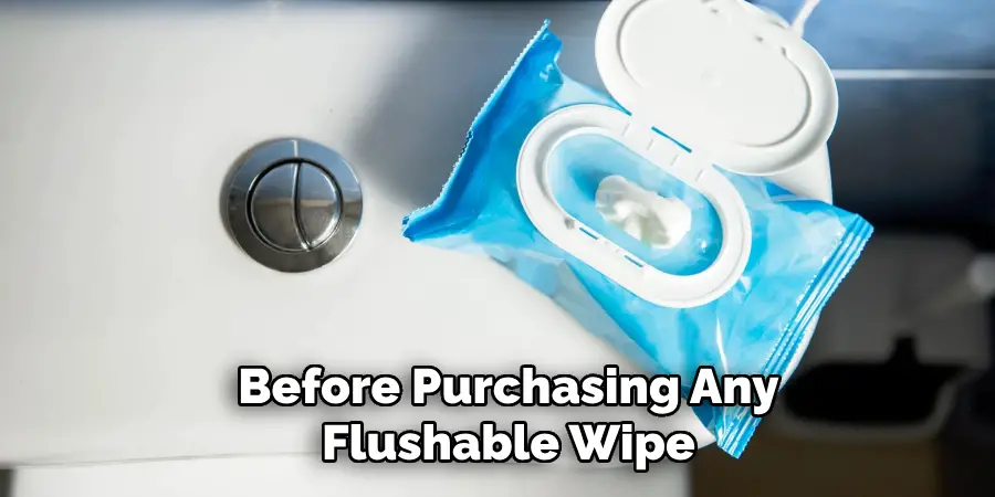 Before Purchasing Any Flushable Wipe