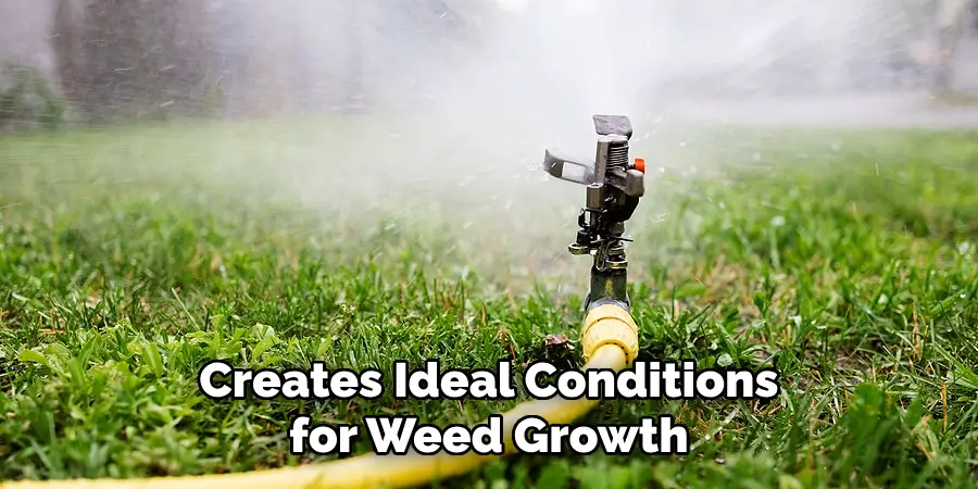 Creates Ideal Conditions for Weed Growth