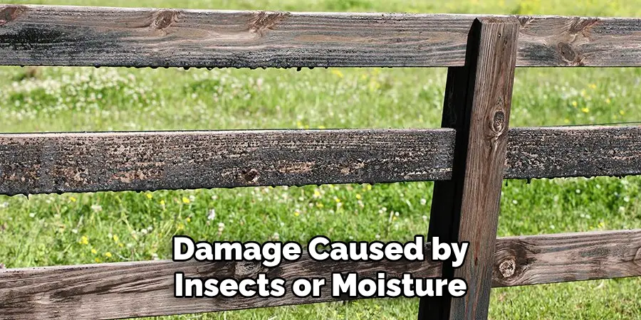 Damage Caused by Insects or Moisture