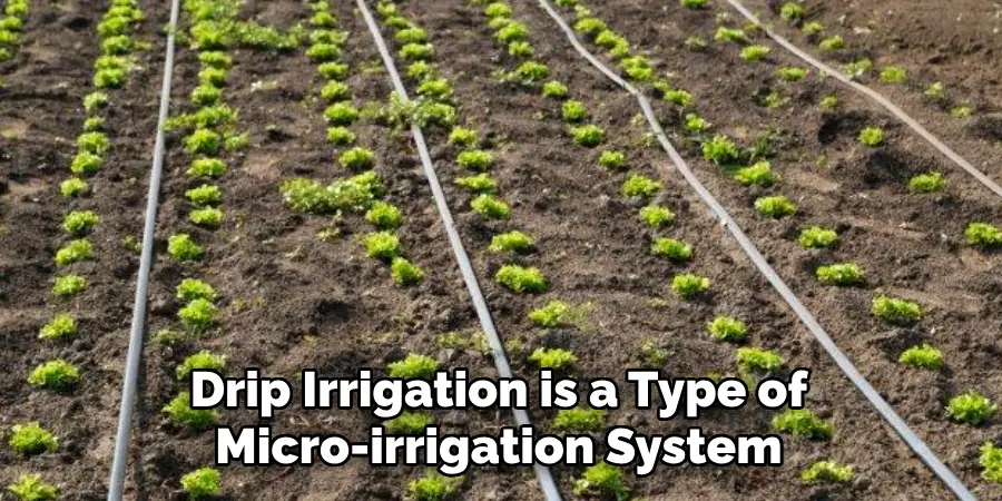 Drip Irrigation is a Type of Micro-irrigation System