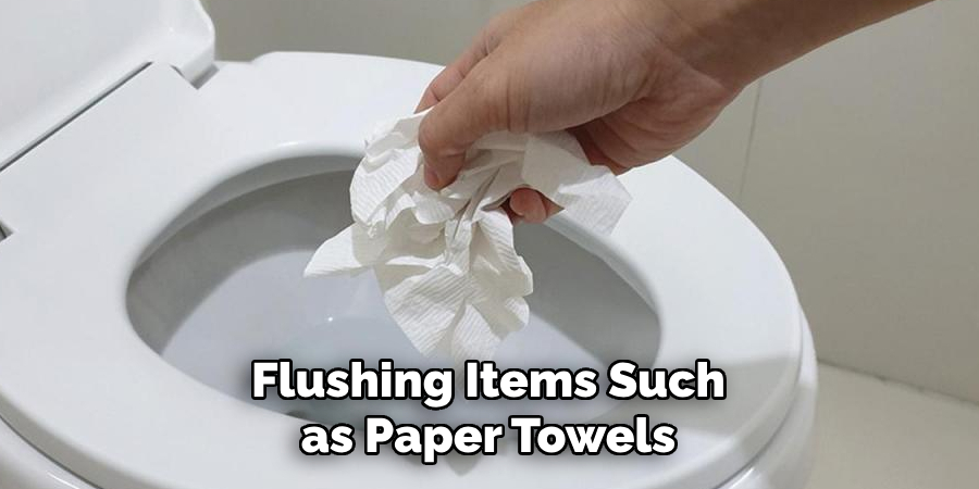 Flushing Items Such as Paper Towels