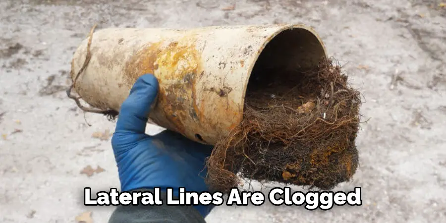 Lateral Lines Are Clogged 