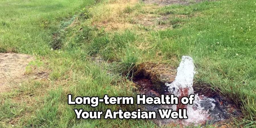 Long-term Health of Your Artesian Well