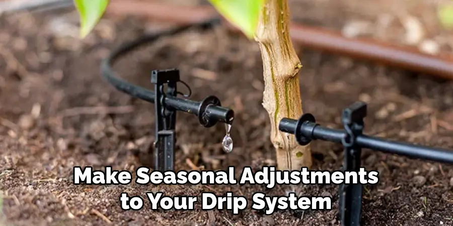 Make Seasonal Adjustments to Your Drip System