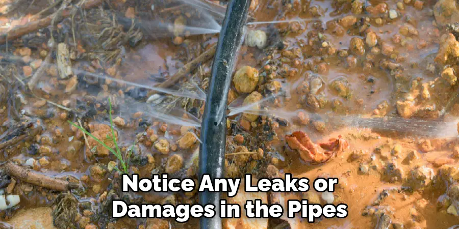 Notice Any Leaks or Damages in the Pipes