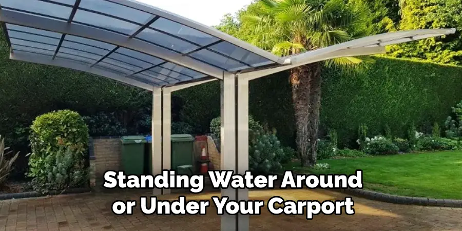 Standing Water Around or Under Your Carport