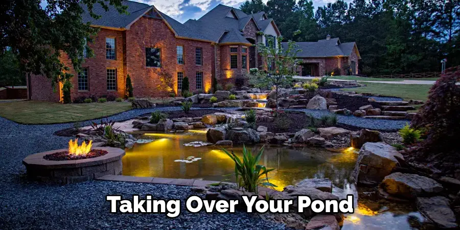 Taking Over Your Pond 