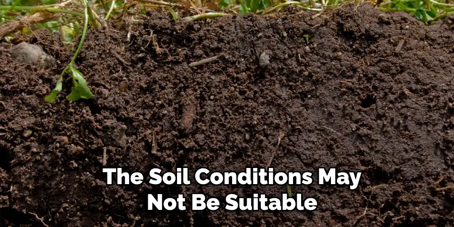 The Soil Conditions May Not Be Suitable