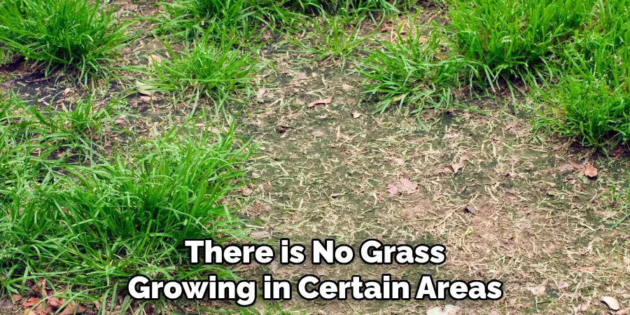 There is No Grass Growing in Certain Areas