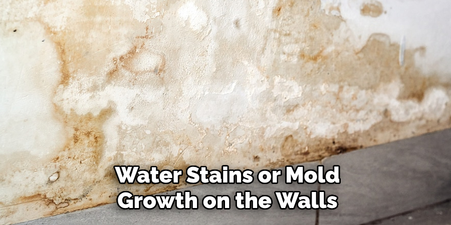 Water Stains or Mold Growth on the Walls