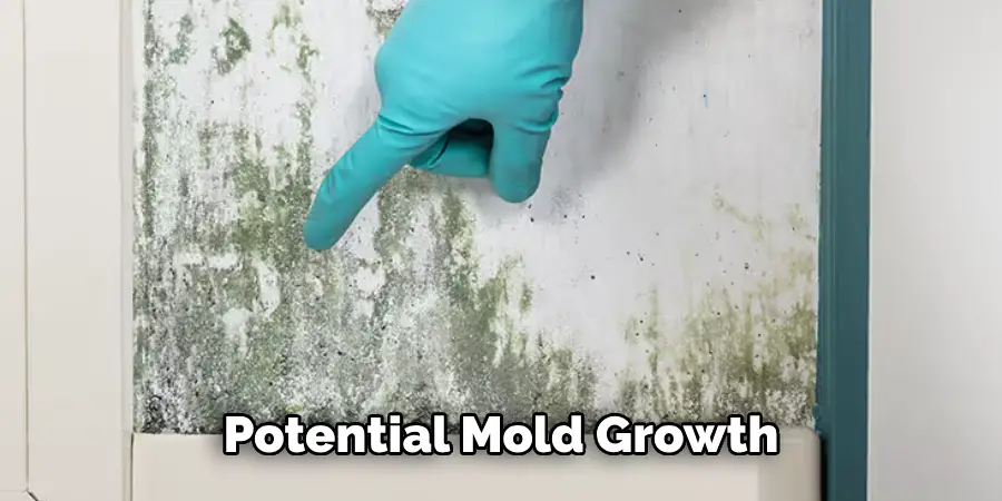 Potential Mold Growth