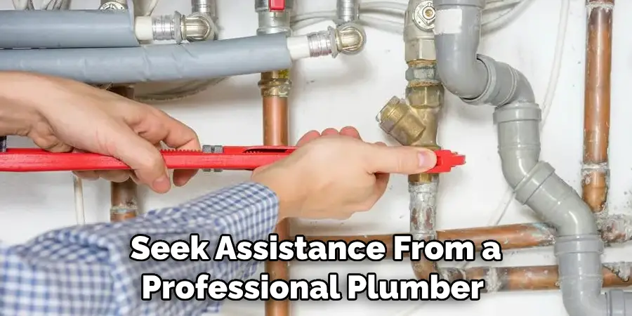 Seek Assistance From a Professional Plumber 