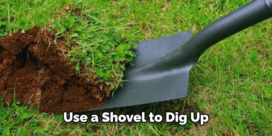 Use a Shovel to Dig Up