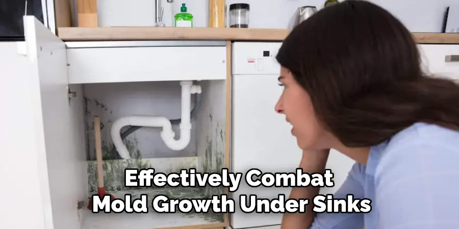 Effectively Combat 
Mold Growth Under Sinks