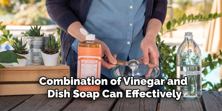 Combination of Vinegar and 
Dish Soap Can Effectively