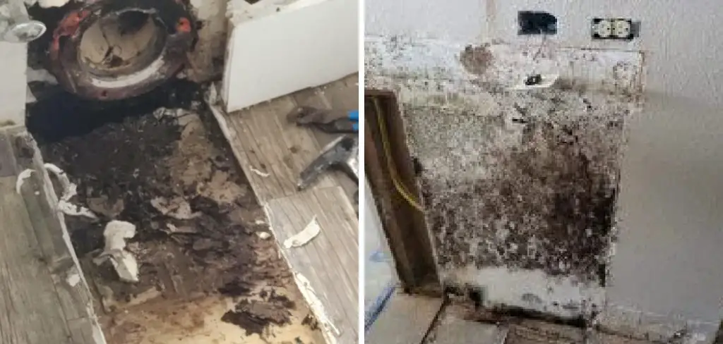 How to Get Rid of Mold Smell in Bathroom