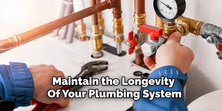 Maintain the Longevity 
Of Your Plumbing System