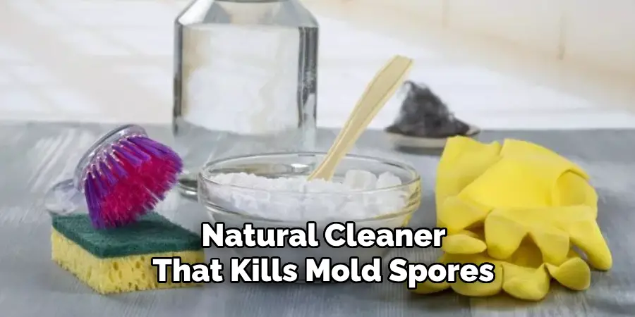 Natural Cleaner
That Kills Mold Spores