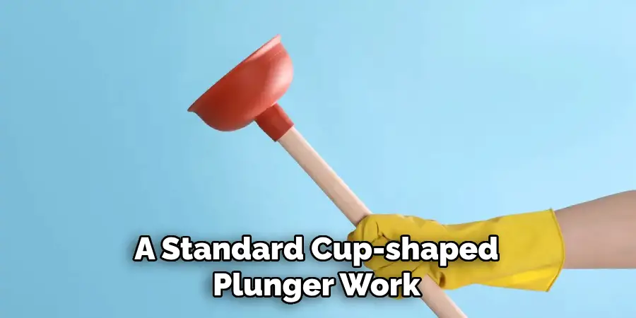 A Standard Cup-shaped
Plunger Work