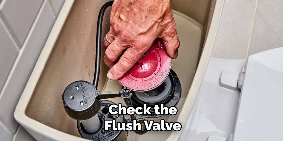 Check the
Flush Valve