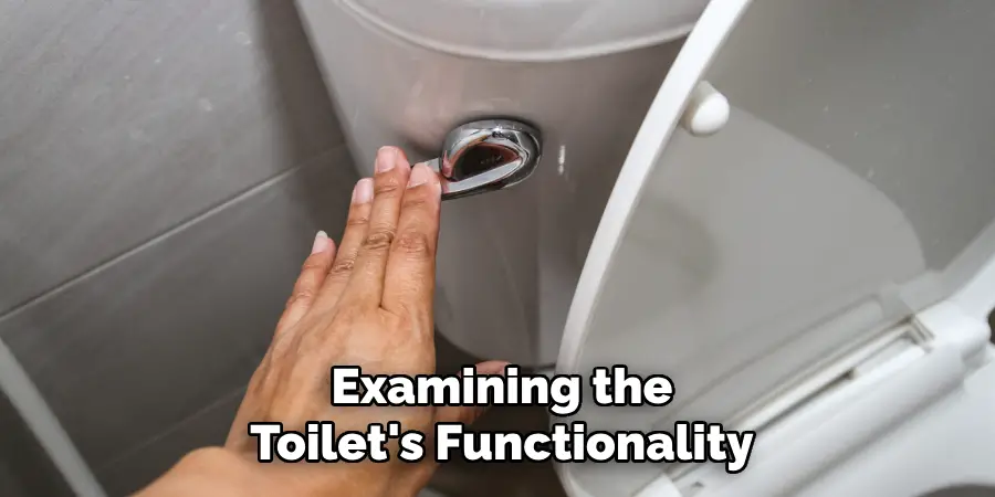 Examining the
Toilet's Functionality