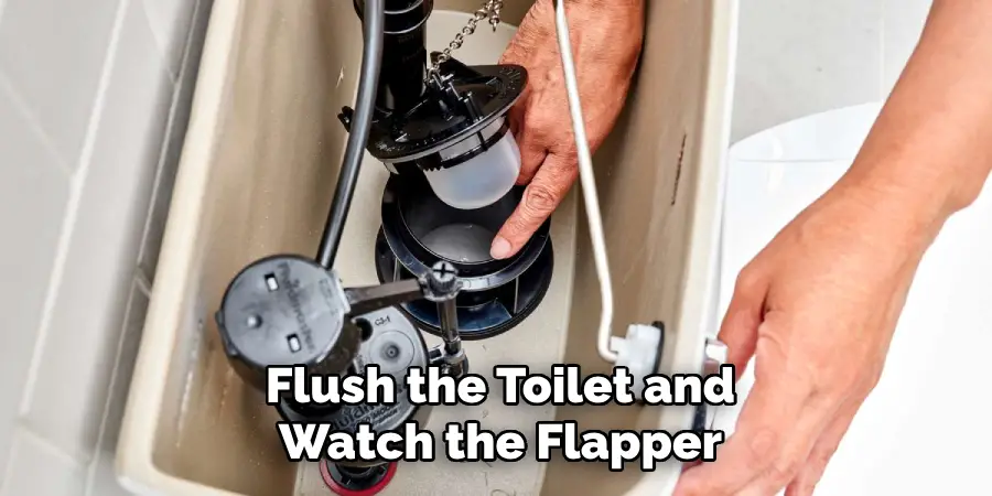 Flush the Toilet and
Watch the Flapper