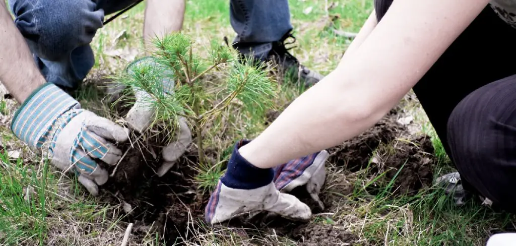 How to Hand Dig a Well