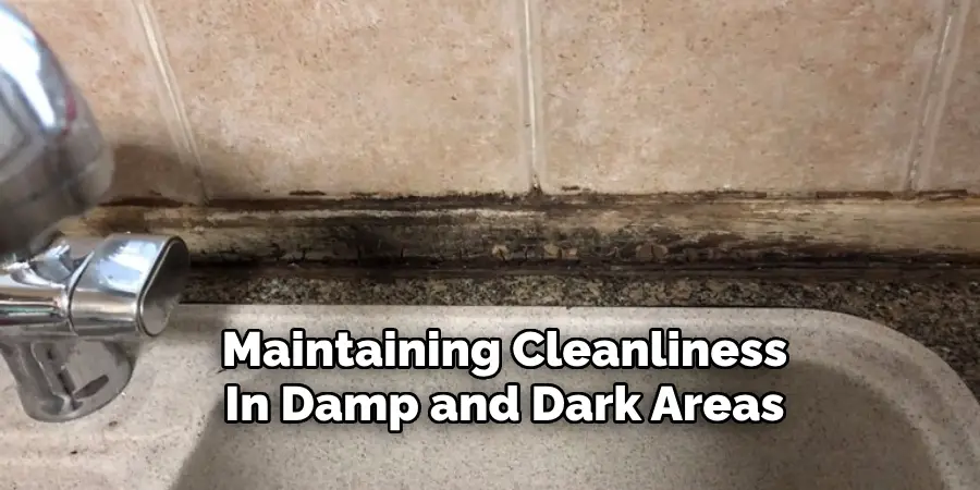 Maintaining Cleanliness
In Damp and Dark Areas