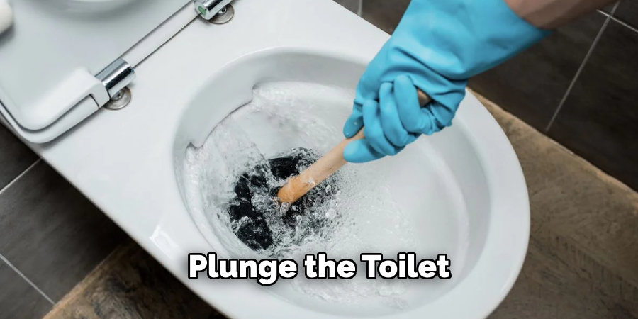 Plunge the Toilet