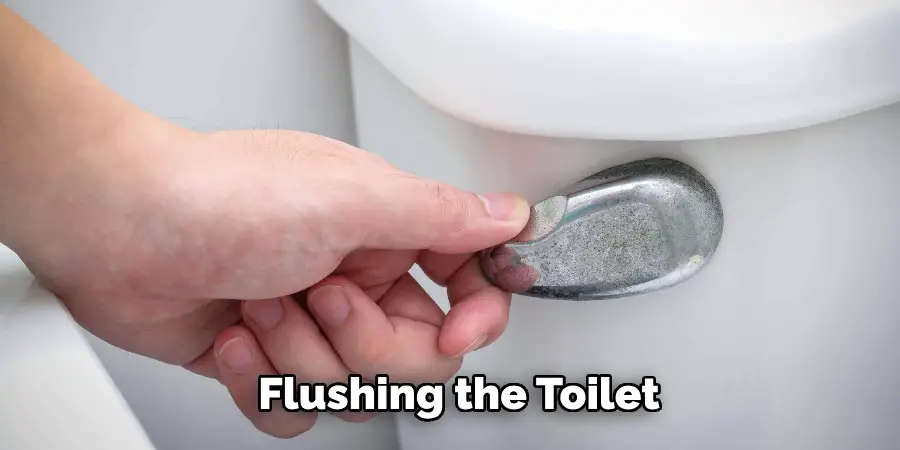 Flushing the Toilet 