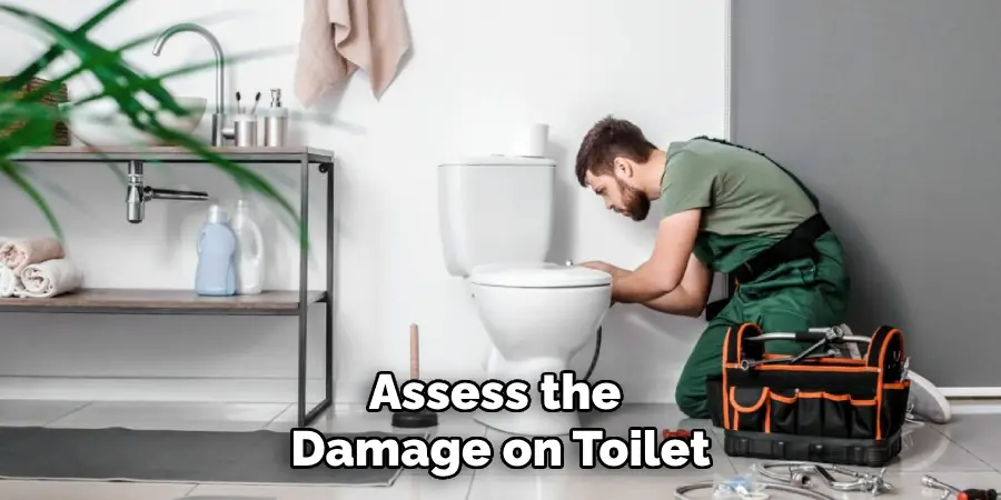 Assess the Damage  on Toilet