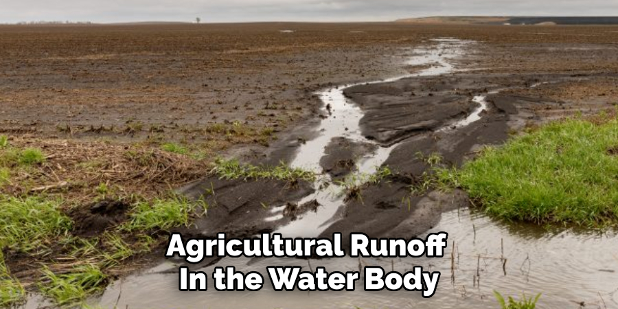 Agricultural Runoff 
In the Water Body