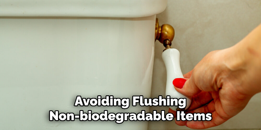 Avoiding Flushing
Non-biodegradable Items