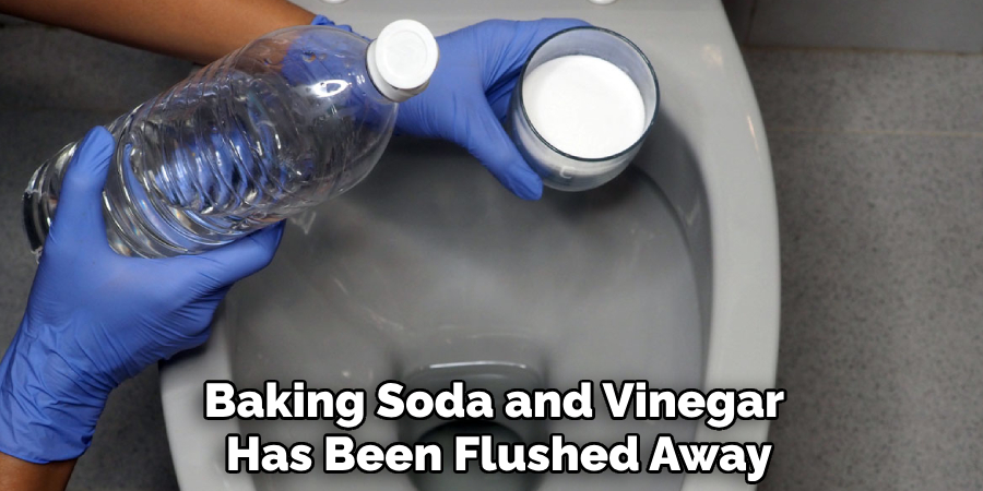 Baking Soda and Vinegar 
Has Been Flushed Away