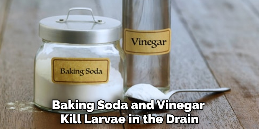 Baking Soda and Vinegar 
Kill Larvae in the Drain