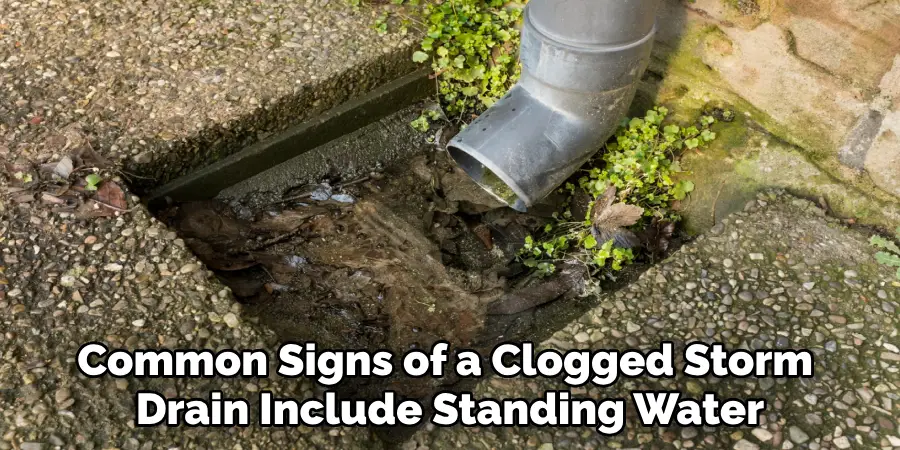 Common Signs of a Clogged Storm 
Drain Include Standing Water