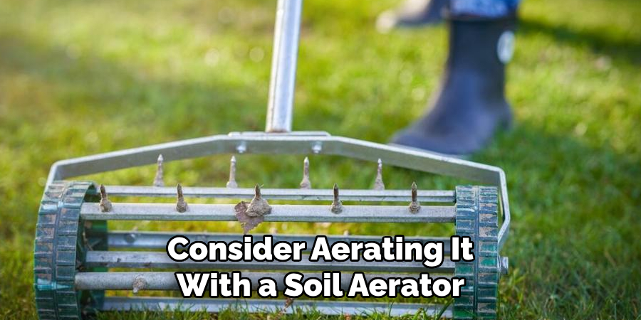 Consider Aerating It
With a Soil Aerator