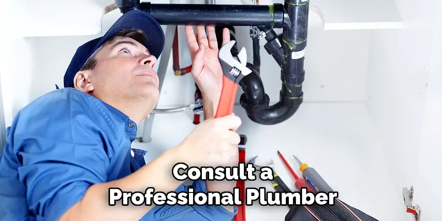 Consult a
Professional Plumber