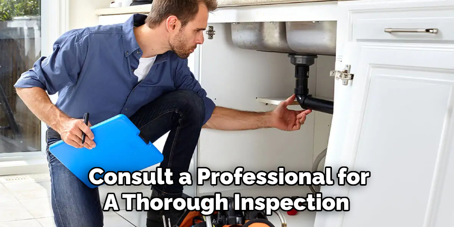 Consult a Professional for A Thorough Inspection