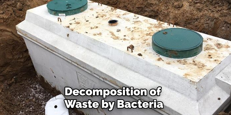 Decomposition of 
Waste by Bacteria