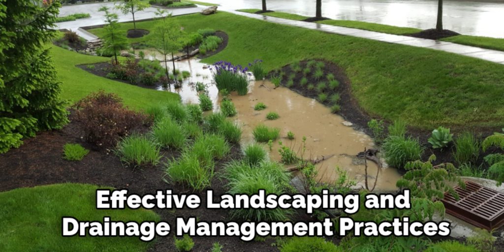 Effective Landscaping and 
Drainage Management Practices