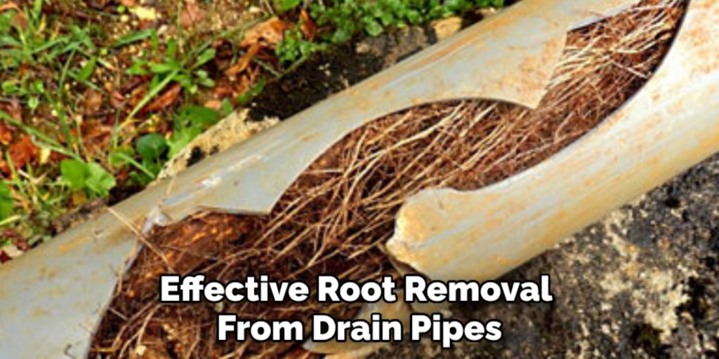 Effective Root Removal 
From Drain Pipes