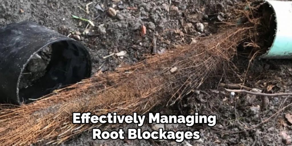 Effectively Managing 
Root Blockages