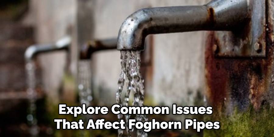 Explore Common Issues 
That Affect Foghorn Pipes