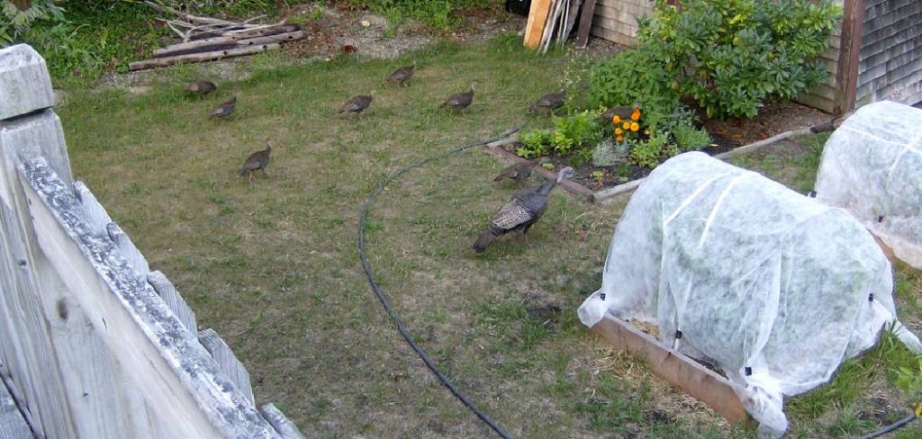 How to Run Water to a Shed