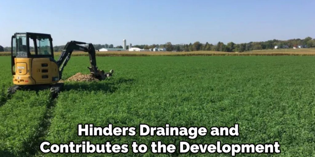 Hinders Drainage and 
Contributes to the Development