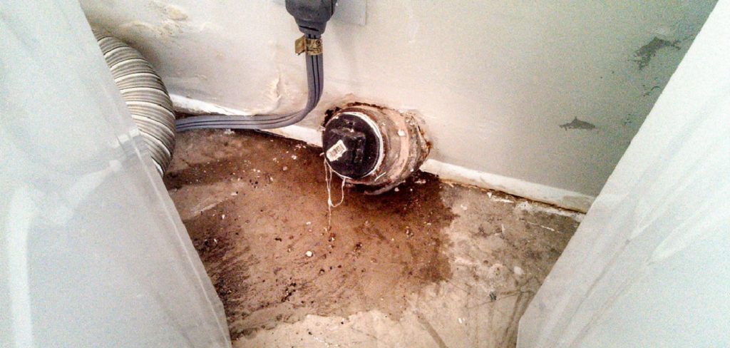 How to Get Rid of Black Mold in Sink Drain