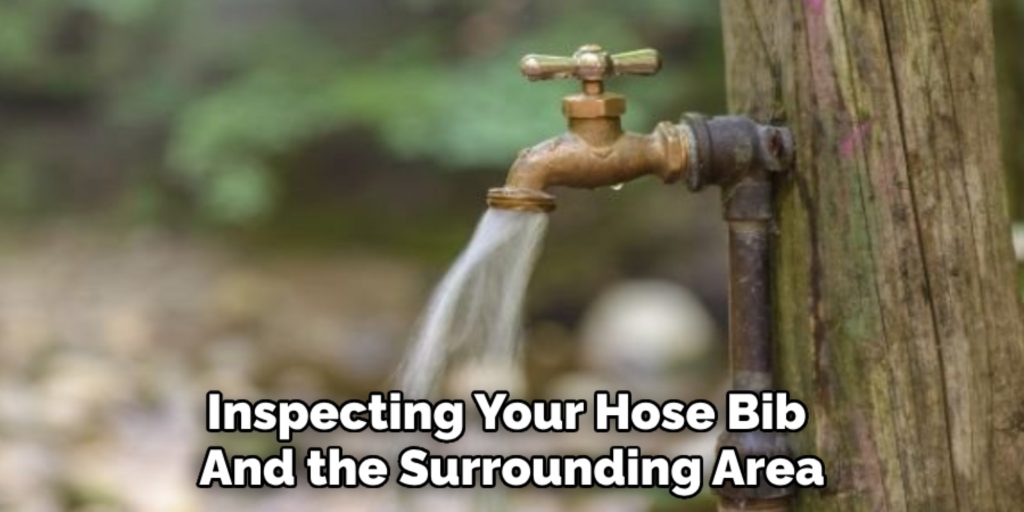 Inspecting Your Hose Bib 
And the Surrounding Area